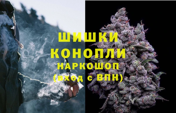 ECSTASY Горняк