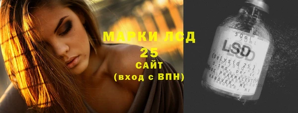 PSILOCYBIN Вязьма