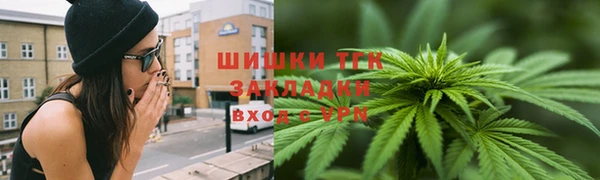 ECSTASY Горняк