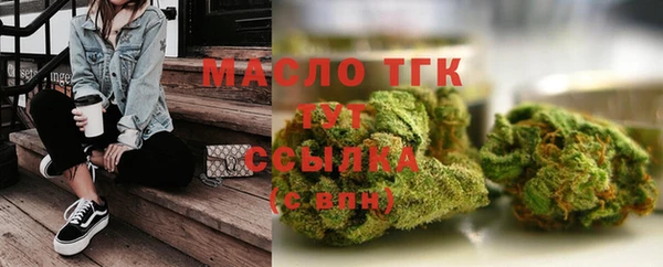 ECSTASY Горняк