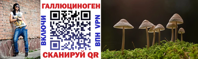 Галлюциногенные грибы мухоморы KRAKEN рабочий сайт Десногорск хочу наркоту
